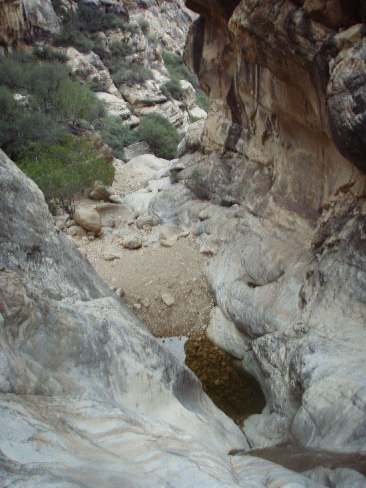 A look down canyon from the bottom of the rappel of the water fall.