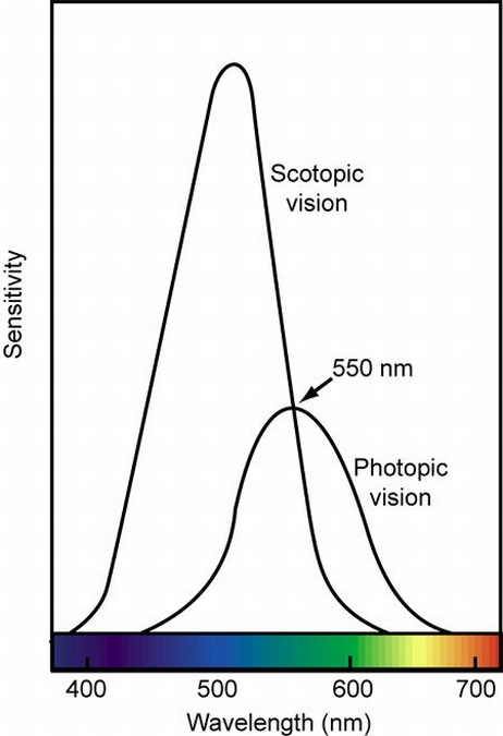 Scotopic vesus Photopic curve.